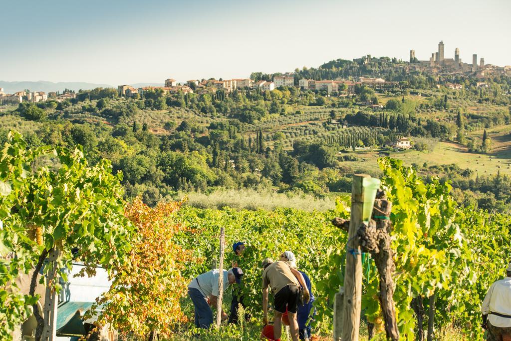 Il Casolare Di Bucciano Vakantieboerderij